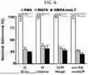Fig. 05 - MULTIVALENT CHOLERA MULTIEPITOPE FUSION ANTIGEN (MEFA) AND METHODS OF USE