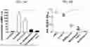 Fig. 06 - MULTIVALENT CHOLERA MULTIEPITOPE FUSION ANTIGEN (MEFA) AND METHODS OF USE