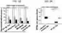 Fig. 10 - MULTIVALENT CHOLERA MULTIEPITOPE FUSION ANTIGEN (MEFA) AND METHODS OF USE