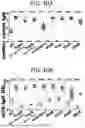Fig. 11 - MULTIVALENT CHOLERA MULTIEPITOPE FUSION ANTIGEN (MEFA) AND METHODS OF USE