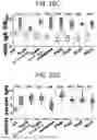 Fig. 12 - MULTIVALENT CHOLERA MULTIEPITOPE FUSION ANTIGEN (MEFA) AND METHODS OF USE