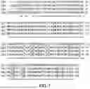 Fig. 08 - ACTRII-ALK4 ANTAGONISTS AND METHODS OF TREATING HEART FAILURE