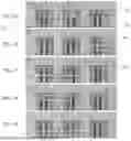Fig. 03 - Evaporation management in digital microfluidic devices