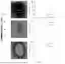 Fig. 08 - Evaporation management in digital microfluidic devices
