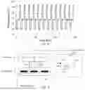 Fig. 10 - Evaporation management in digital microfluidic devices