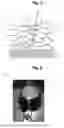 Fig. 04 - STRUCTURE WITH FOAM FOAMING DEVICE FOR GEOENGINEERING