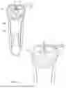 Fig. 02 - SHAVING UNIT AND ELECTRIC SHAVER COMPRISING THE SAME