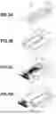 Fig. 04 - LIQUID EJECTION HEAD AND METHOD OF MANUFACTURING THE SAME