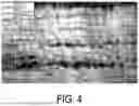 Fig. 05 - METHOD FOR MANUFACTURING SHORT FIBERS, METHOD FOR MANUFACTURING NONWOVEN FABRIC, SHORT FIBER MANUFACTURING DEVICE, AND NONWOVEN FABRIC MANUFACTURING DEVICE
