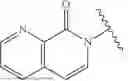 Fig. 08 - SUPRAMOLECULAR POLYMER THERAPEUTICS AND DIAGNOSTICS