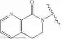 Fig. 09 - SUPRAMOLECULAR POLYMER THERAPEUTICS AND DIAGNOSTICS