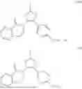 Fig. 271 - SUPRAMOLECULAR POLYMER THERAPEUTICS AND DIAGNOSTICS
