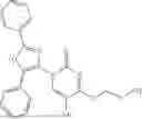 Fig. 99 - SUPRAMOLECULAR POLYMER THERAPEUTICS AND DIAGNOSTICS