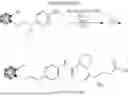 Fig. 09 - BORON NEUTRON CAPTURE THERAPY (BNCT) PROBE