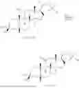 Fig. 265 - OXYSTEROLS AND METHODS OF USE THEREOF
