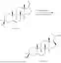 Fig. 482 - OXYSTEROLS AND METHODS OF USE THEREOF