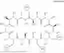 Fig. 167 - CELL-PERMEABLE CYCLIC PEPTIDES AND USES THEREOF