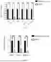 Fig. 13 - COMPOSITION AND METHOD FOR PREVENTING OR TREATING SARS-COV-2 INFECTION