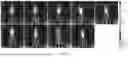 Fig. 24 - COMPOSITION AND METHOD FOR PREVENTING OR TREATING SARS-COV-2 INFECTION