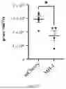 Fig. 25 - COMPOSITION AND METHOD FOR PREVENTING OR TREATING SARS-COV-2 INFECTION