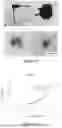 Fig. 13 - Thermoplastic polymers synthesized from depolymerized lignin via free radical polymerization