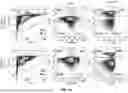 Fig. 12 - METHOD FOR COLLECTING CELL TYPES