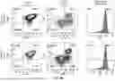 Fig. 13 - METHOD FOR COLLECTING CELL TYPES