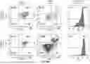 Fig. 15 - METHOD FOR COLLECTING CELL TYPES