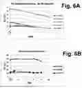 Fig. 09 - SYSTEM AND PROCEDURE FOR STABILIZING, STORING AND RECOVERING BLOOD SAMPLES