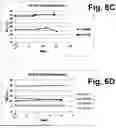 Fig. 10 - SYSTEM AND PROCEDURE FOR STABILIZING, STORING AND RECOVERING BLOOD SAMPLES