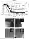Fig. 10 - METHOD AND DEVICE FOR ULTRA-RAPID CRYO-FIXATION OF A SAMPLE FOR MICROSCOPIC STUDIES