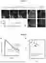 Fig. 20 - METHOD AND DEVICE FOR ULTRA-RAPID CRYO-FIXATION OF A SAMPLE FOR MICROSCOPIC STUDIES