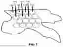 Fig. 08 - METHOD OF STORING AND RETRIEVING DIGITAL PATHOLOGY ANALYSIS RESULTS