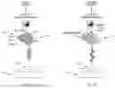 Fig. 06 - Pixel-Diversity Nanoparticle Detection by Interferometric Reflectance Imaging Sensor