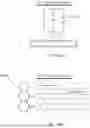 Fig. 49 - Optical systems for nucleic acid sequencing and methods thereof