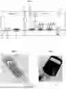 Fig. 02 - ENZYME-LINKED IMMUNOSORBENT SENSOR (