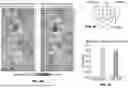 Fig. 07 - COMPOSITIONS AND METHODS OF DIAGNOSING PANCREATIC CANCER