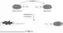 Fig. 18 - COMPOSITIONS AND METHODS OF DIAGNOSING PANCREATIC CANCER