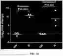 Fig. 21 - COMPOSITIONS AND METHODS OF DIAGNOSING PANCREATIC CANCER