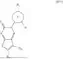 Fig. 294 - METHOD FOR DETECTING NEUROLOGICAL DISEASES USING SUPRAMOLECULE POLYMER THERAPEUTICS