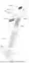Fig. 09 - PRE-CONNECTOR AND CONNECTOR