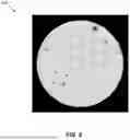 Fig. 07 - CONTROLLING ABERRATION IN AN OPTICAL SYSTEM, A METROLOGY SYSTEM, LITHOGRAPHIC APPARATUS, AND METHODS THEREOF