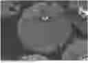 Fig. 01 - CARRIER CORE MATERIAL AND ELECTROPHOTOGRAPHIC DEVELOPMENT CARRIER USING SAME AND ELECTROPHOTOGRAPHIC DEVELOPER