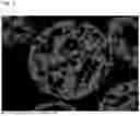 Fig. 03 - CARRIER CORE MATERIAL AND ELECTROPHOTOGRAPHIC DEVELOPMENT CARRIER USING SAME AND ELECTROPHOTOGRAPHIC DEVELOPER