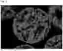 Fig. 04 - CARRIER CORE MATERIAL AND ELECTROPHOTOGRAPHIC DEVELOPMENT CARRIER USING SAME AND ELECTROPHOTOGRAPHIC DEVELOPER