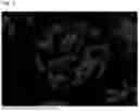 Fig. 05 - CARRIER CORE MATERIAL AND ELECTROPHOTOGRAPHIC DEVELOPMENT CARRIER USING SAME AND ELECTROPHOTOGRAPHIC DEVELOPER