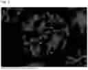 Fig. 06 - CARRIER CORE MATERIAL AND ELECTROPHOTOGRAPHIC DEVELOPMENT CARRIER USING SAME AND ELECTROPHOTOGRAPHIC DEVELOPER