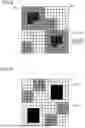 Fig. 08 - IMAGE FORMATION APPARATUS