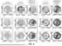 Fig. 08 - SYSTEM AND METHOD FOR ESTIMATING MEASUREMENT UNCERTAINTY FOR CHARACTERIZATION SYSTEMS