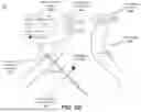 Fig. 09 - VEHICLE CONTROL AND INTERFACE SYSTEM